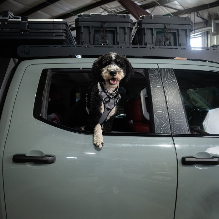 Vinyl Garage Paw Protector For Tundra (2022-Current)