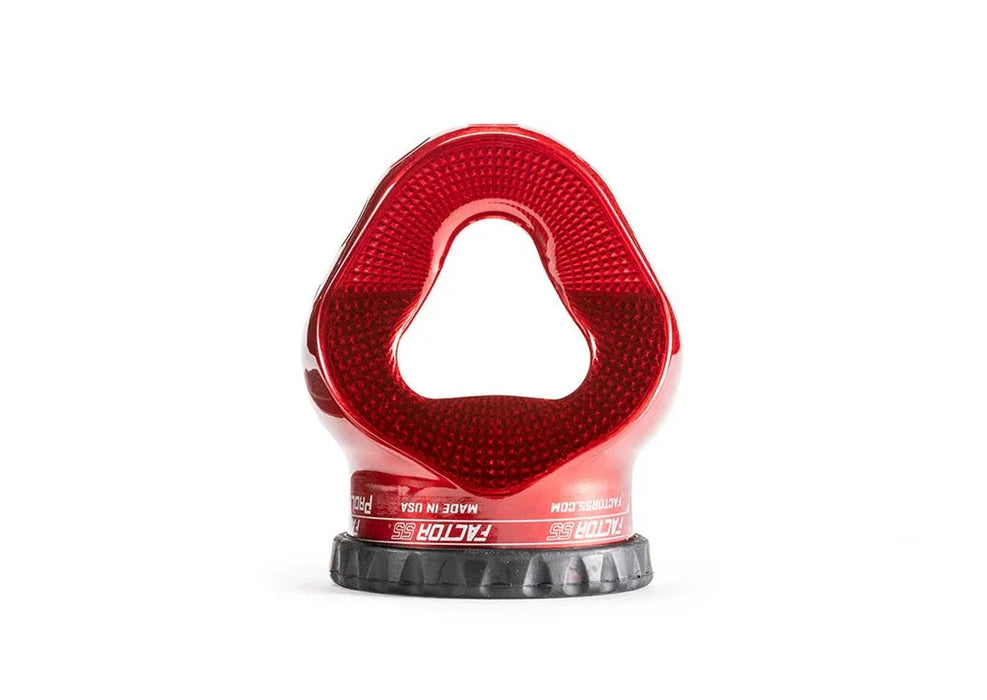 Factor 55 ProLink E (Expert)